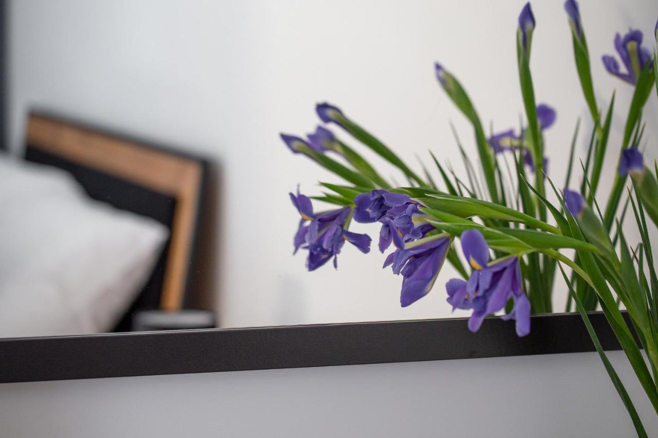 Apartament Ksiezycowy - Mlyn Maria - Art Apartments 弗罗茨瓦夫 外观 照片
